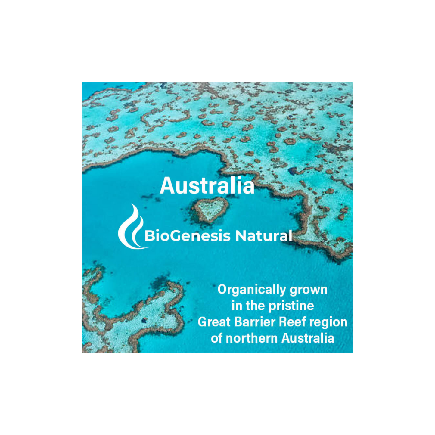 
                  
                    BioGenesis Natural Australia (Glass) Australian Organic Chlorella 500mg Mixed Berries 300t
                  
                